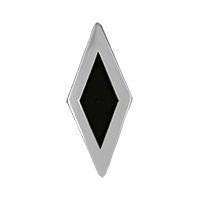 Silver/Black inlay (D-PSB) [+$416.00]